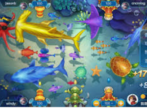 娱乐星空下载app2024最新版